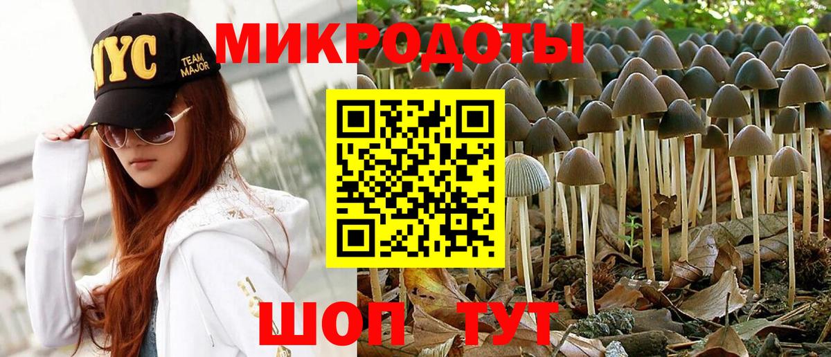 Галлюциногенные грибы Cubensis  Вход с VPN  Ростов-на-Дону 